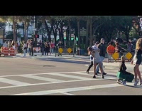 A busy day with people taking pictures