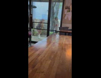 Woman in dress tiktok and then kisses her boyfriend