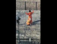 Person doing aerobics while wearing orange jumpsuit on sidewalk