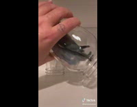 Collab BitchIG2 - Mall bird inside of mason jar doesnt want to get out