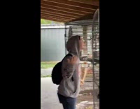 Collab Clips mpugc - Woman screams at bird and it screams back and other says hi