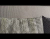 White dog pops up behind couch to pop goes the weasel