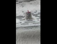 Can left out is covered in snow 