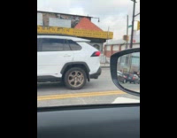 Collab WINY - Person rides scooter with dog on sidewalk