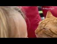 Girl on patio couch holds pets cat