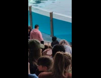 Woman films and read script at SeaWorld