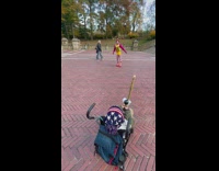 Person in clown outfit dancing in park in public