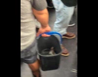 Collab Subway Creatures - Man carries bucket with live turtle on subway 