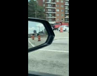 Group of geese walking down side of street 