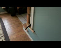 Dog Behind Stairs Waggles Tail as Man Calls