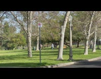Girl dances at park while friend films