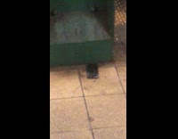 Phone on subway station floor play music