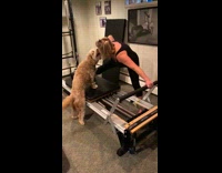 Collab Kale Salad IG - Woman does leg exercise dog joins