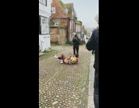 Guy jester on brick floor road old town