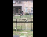 Girl twin tails dance video yard neighbor