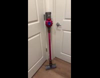 Dog scared of vacuum 