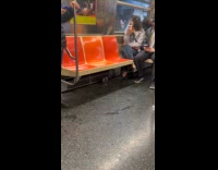 Pigeon standing underneath subway seats
