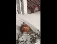 Orange pumpkin outside in snow covered backyard 