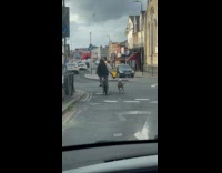Man rides bicycle walks dog on road
