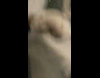 Cat pull grey rug surprise attack camera