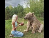 Blue shirt girl hand feeds bear strawberries 