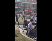 College students hang outside when warm