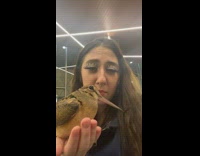 Collab Clips mpugc - Girl holding stray bird after it hit window