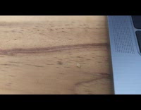 Worm squeeze crawl on desk beside laptop