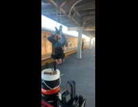 Guy hangs upside down while playing flute 