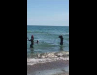 Woman pink hair bikini splash beach water