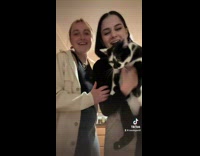 Collab Clips mpugc - Couple hug their cats to see reaction