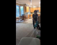 Kid pulls toy from their pet dog 