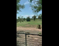 Woman in green tube top  poses at the golf course