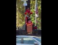 Red dog mascot protests outside the courthouse