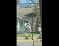 Three shirtless muscled men pose bull statue Part 1