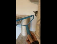 Cat shocked by lint fur cleaner on tower 
