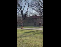 Person in a fox costume poses at the park