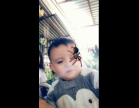 BitchMP - Baby spider filter on face