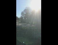 Two cleanup guys play baseball with wheel