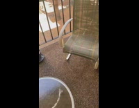 Brown owl sitting on balcony of apartment