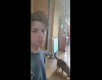 Man stares at camera and receives high five from cat