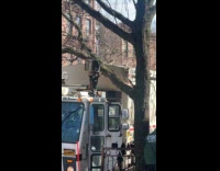 Truck crash unto tree and got stuck