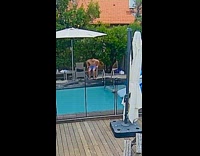 Collab VIBES - Woman slips and falls into pool 