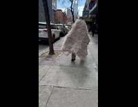 Collab WINY - Man with Thick Rugged Long Coat Walks on Street