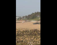 Couple hold hands frolic walk at beach