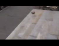 Guy runs into metal pole ball fail