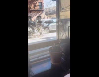 Long line at flower shop on Valentines day