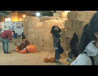 woman long brown dress hay pumpkins