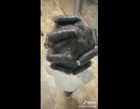 Guy films little girls hair curls in progress