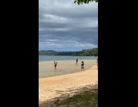 Shirtless man beach shore exercise workout